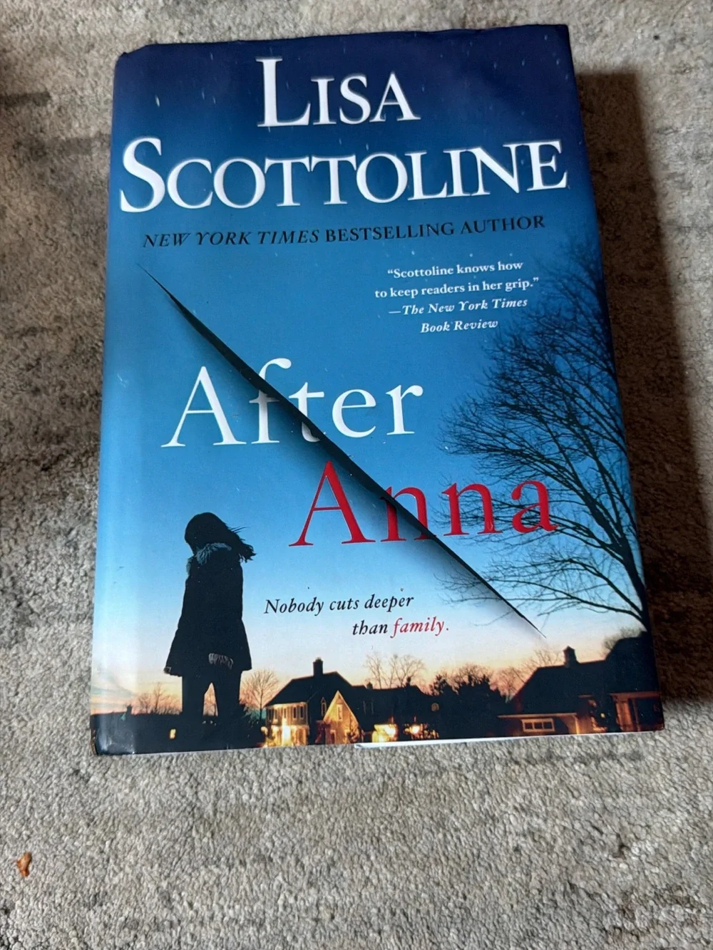 After Anna - Blue Hardcover Decorative Book